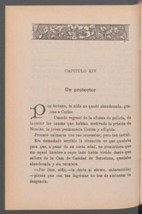 Capítulo XIV - Un protector