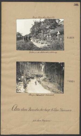 Straße Bärenstall- Wabenstall