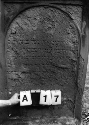 Grabstein 17 (Index: 99793028) Material: Sandstein Zustand: sehr stark verwittert mit sehr großem Textverlust Maße HxBxT: 161x82x23 cm Beschreibung: Stele, Sockel profiliert, Rundbogenabschluß mit Verdachung, Schriftfeld eingetieft in gleicher Form: Grabstein 17A