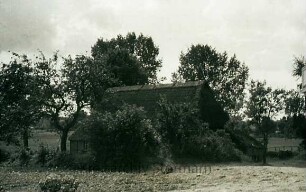 Kate Ruchhase