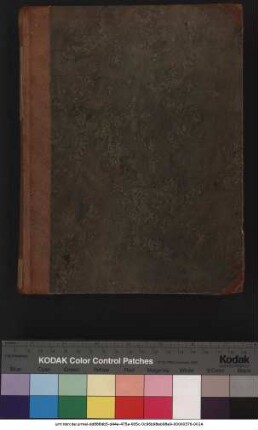 Martin Luther: Galaterbriefvorlesung (1531)