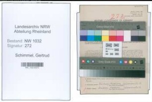 Entnazifizierung Gertrud Dr. Schimmel , geb. 29.12.1910 (Lehrerin)