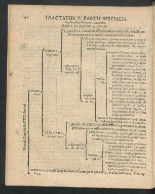 Tractatus V. Partis Specialis.