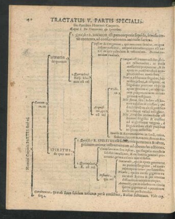 Tractatus V. Partis Specialis.