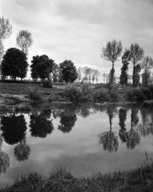 Partie am Neckar