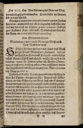 Das Dreyzehende Capitel.