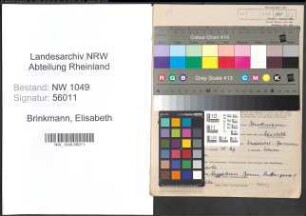 Entnazifizierung Elisabeth Brinkmann , geb. 19.05.1900 (Lehrerin)