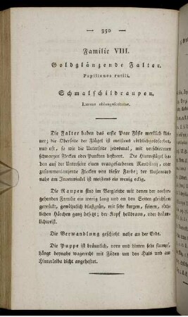 Familie VIII. Goldglänzende Falter.