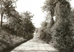 Leippen, Hohlweg am Nordausgang des Dorfes