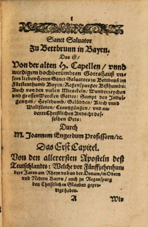 Sanct Saluator Zu Bettbrunn in Bayrn: Das ist, Von der Alten H. Capellen ... vnsers lieben Herrn Sanct Saluators zu Bettbrunn in Fürstenthumb Bayrn, Regenspurger Bisthumbs : Auch Von den vielen Wunderzeychen, Heylthumb, Gelübden, Walfärten vnd anderer Chistlichen Andacht desselben Orts, etc.