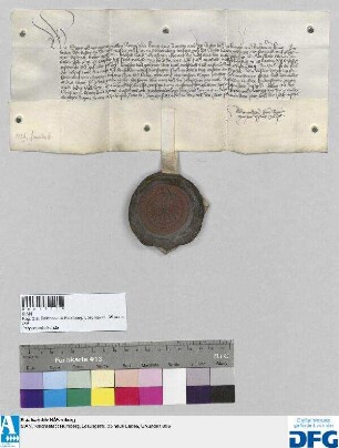 König Sigmund gebietet der Stadt Nürnberg, dem Wygleys Schenken von Geyern die halbe Judensteuer auszuhändigen.