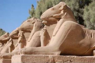 Luxor - Im Karnak Tempel : Die dem Gott Amun geheiligten Widder, Allee widderköpfiger Sphingen am Eingang zum Amuntempel von Karnak in Luxor, aufgenommen 2006