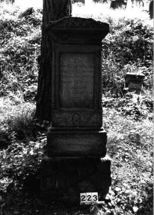 Grabstein 223 (Index: 99897793) Maße HxBxT: 174x56x27 cm: Grabstein 223