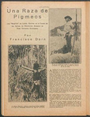 Una raza de Pigmeos