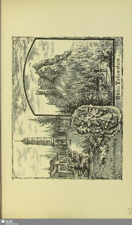 Auf dem Tannenberg - Ruine Tollenstein