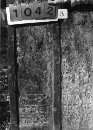 Grabstein 1042 (Index: 99751165) Material: Sandstein Zustand: abgeblättert/großer Textverlust Maße HxBxT: 123x69x10 cm Beschreibung: Doppelstele, zwei Schriftfelder eingetieft Symbolik: Lilien, Ranken: Grabstein 1042B