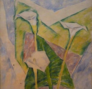 Weiße Callas (Weiße Lilien)