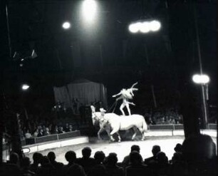 Circus Barum - Circus Sarrasani, Hannover, 1976