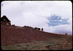 [32]: Cajamarca