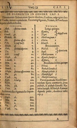Hortus illuminans : Continens Institvtionvm Hebraeae Lingvae, per Tabvlas Digestarvm, Libros Dvos