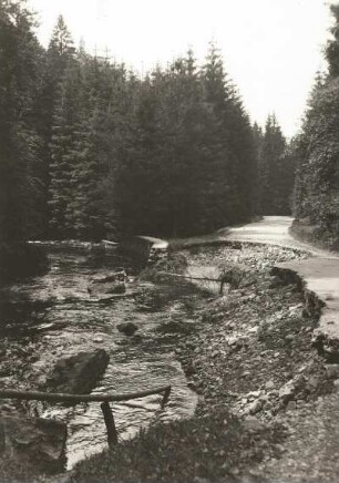 Dresdner Heide. Zerstörungen am Flussbett der Prießnitz nach einem Unwetter im Juli 1926