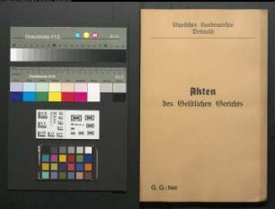 Ehestreit zwischen Johanna Sophia Christina Bruntrup [Brüntrup] modo Philipp Ermelings Ehefrau und ihrem Ehemann Philipp Ermeling in Detmold