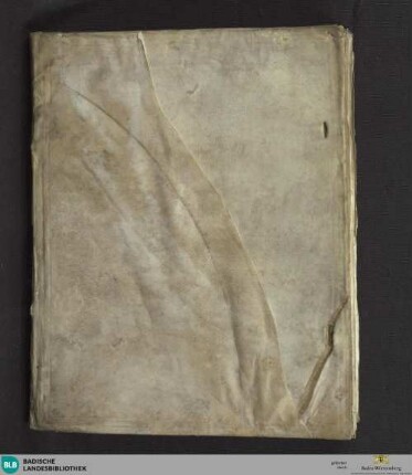 Lauretanische Letaney der gebenedeuten Mutter Gottes Mariae, gesang-und Reimeinweiß aufgesetzt - Cod. Ettenheim-Münster 189 : Noten, Texte
