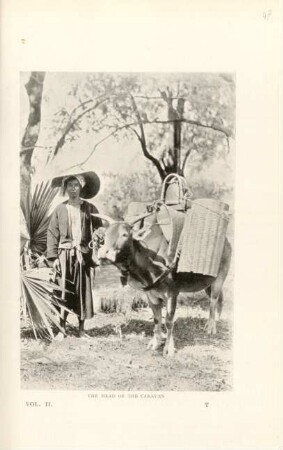The head of the caravan