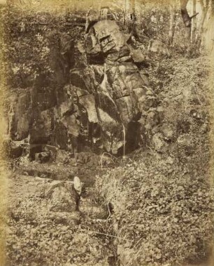 Mittelgrundstudie: Waldinneres: Felspartie