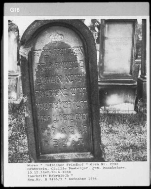 Grabstein der Cäcilie Bamberger (gestorben 1888.06.28) (geborene Mannheimer)