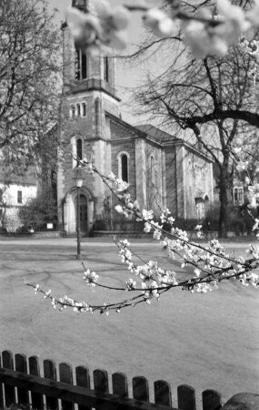 Baumblüte auf dem Rottberg in Ettlingen.