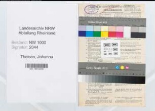Entnazifizierung Johanna Theisen, geb. 20.02.1917 (Angest.)