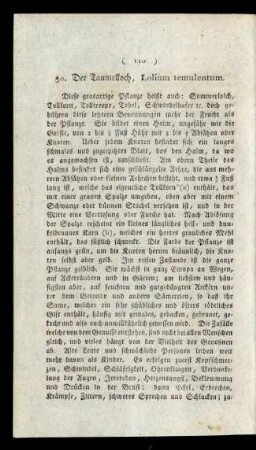 50. Der Taumelloch, Lolium temulentum.
