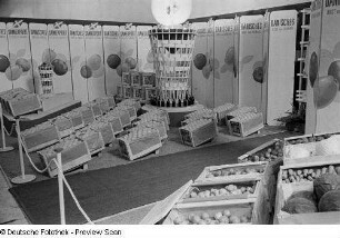Messestand mit dänischem Obst und Gemüse