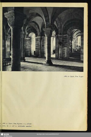 Abb. 15. Speyer, Dom, Krypta