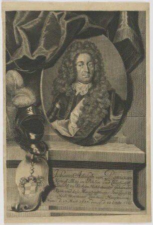 Vildnis des Johann Adolph von Ponickau