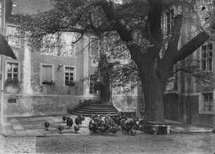 Schloss Promnitz : Rochsburg. Schloss. Schlosshof mit Truthähnen