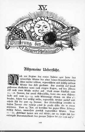 Witterung des Jahres. Naturerscheinungen.