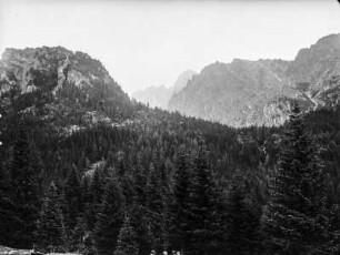 Wald : Blick zwischewn Wald und Bergen In der Hohen Tatra