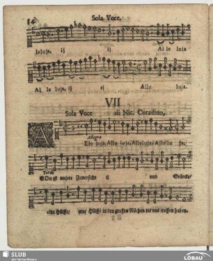 VII. Corradini, Nicolò: Alleluia Gott ist unsere Zuversicht