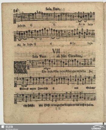 VII. Corradini, Nicolò: Alleluia Gott ist unsere Zuversicht