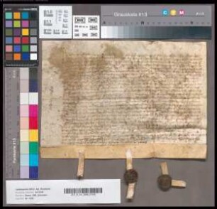 [Heynrich Heystvelde; betr. Pachtung des Fronhofs zu Paffendorf nebst der Mühle und den Zehnten daselbst und zu Glesch, Destorf usw.]
