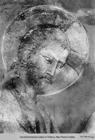 Biblische und hagiographische Szenen, Fabeln, Jagd-, Kampf- und Monatsdarstellungen (v. d. Rest. 1978/79) : Erschaffung Evas