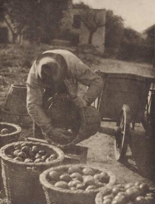 Fruits of the Earth