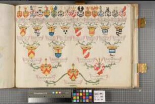 Proband: Meschede, Wilhelm Werner Ferdinand von; Vater: Meschede, Johann Dietrich Anton von; Mutter: Schorlemer, Anna Adriana von: Westfalen, Hzgtm, Ritterschaft