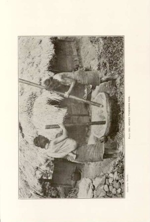 Plate CXII. Women threshing rice