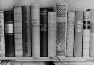 Nationalsozialistische Literatur in einem Bücherregal. Gedankengut ewig Gestriger.
