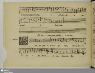 XXIX. Stoltzer, Thomas: Omnes gentes plaudite