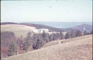 Blick vom Kandel