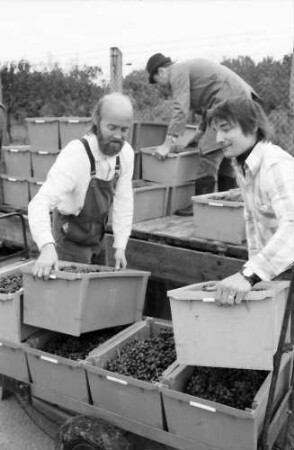 Freiburg, St. Georgen: Weingut Faber